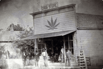 Massachusetts cannabis history